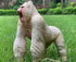 Gorilla King Kong Action Figure - Rampage Gorilla Fight Mode Solid Wild Animal Figurines for Role Playing