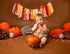 1st Little Pumpkin Birthday High Chair Banner - Ballet, Halloween, Party Decorations