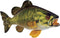 Real Planet Fishing Stuffed Animal - Sockeye Salmon Trout Bass Plush Stuffed
