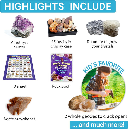 (250 Set) DANCING BEAR Rock, Mineral & Geodes Treasure Hunt Activity Kit Pc Real Shark Teeth Fossils, ID Sheet & Rock