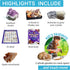 (250 Set) DANCING BEAR Rock, Mineral & Geodes Treasure Hunt Activity Kit Pc Real Shark Teeth Fossils, ID Sheet & Rock