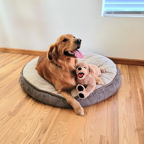 LotFancy 21" Dog Stuffed Animals, Soft Cuddly Golden Retriever Plush Toy, Large Puppy Gift for Kids and Pets
