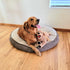 LotFancy 21" Dog Stuffed Animals, Soft Cuddly Golden Retriever Plush Toy, Large Puppy Gift for Kids and Pets