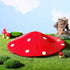 (40cm*40cm) NUOBESTY Kids Mushroom Hat Costume Accessory Red Plush Mushroom Hat Cartoon Party Costume for Festival