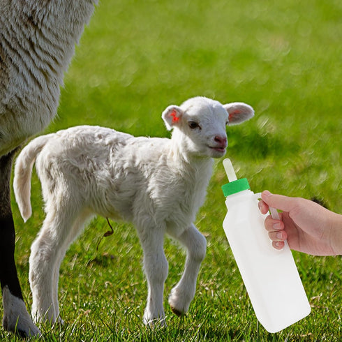 1 Set Lamb Feeding Bottle, Goat Feeding Tools, Pig Feeding Bottle, White Piglet