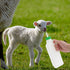 1 Set Lamb Feeding Bottle, Goat Feeding Tools, Pig Feeding Bottle, White Piglet