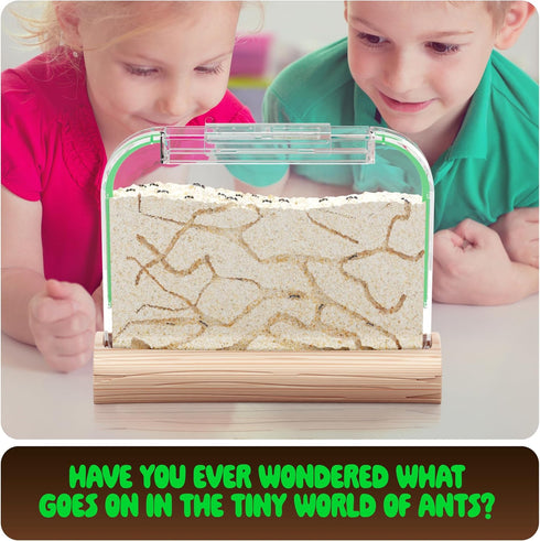 Ant Farm Kit for Kids, Educational Science Gifts, Bug Terrarium House for Boys, Girls & Adults