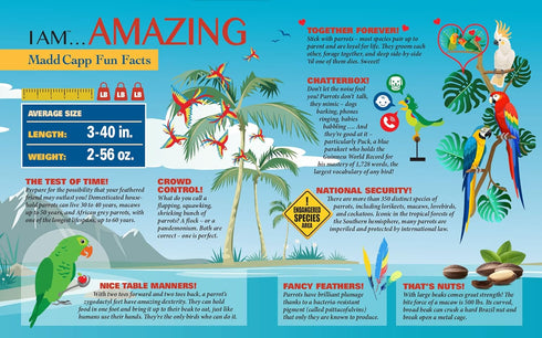 Madd Capp Parrot 300 Piece Jigsaw Puzzle - Unique-Shaped Border, Educational Fun Facts, Ages 10 and Up