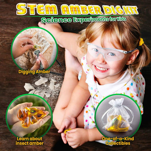 GobiDex Amber Dig Kit, Excavate 6 Insects Specimens, STEM Geographic Educational Bugs Toys for Kids Age 6-12