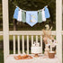 Agkvw 1st 1st One Funny Goose High Chair Banner for Boys - Goose Theme Birthday Decorations, Blue Gingham Style