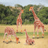 Toymany 4PCS Realistic Giraffe Figurines Playset - Includes Giraffe Cub, Educational Toy for Kids