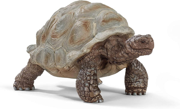 Schleich Wild Life Realistic Exotic Galapagos Giant Tortoise Figurine - Wild Animal Toy for Kids Age 3+