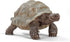 Schleich Wild Life Realistic Exotic Galapagos Giant Tortoise Figurine - Wild Animal Toy for Kids Age 3+