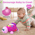 KaeoHye 6-12 12-18 Light&Sound,Tummy 3-6 4 5 7 8 9-12 18 Musical Turtle Baby Toys MonthsBaby Crawling Toys