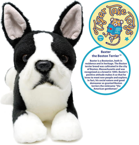 VIAHART Baxter The Boston Terrier - 12 Inch Plush Stuffed Animal Dog by TigerHart Toys