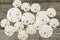 Imperfect Sand Dollars, 2"-3 1/4", 15 Defective Real Sand Dollars, Flawed Quality, Seashell Wedding Crafts, Free