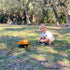 9-Channel 1:18 100-Min 2026 6-12 RC Dump Truck Toy | Scale Construction Vehicle with Working Bed, Lights & Sounds