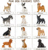 Toymany 12PCS Mini Dog Figurines Toy Set, Realistic Detailed Plastic Puppy Figures, Cake Toppers Gift