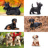 12PCS Realistic Dog Figurines, Hand Painted Tiny Puppy Animals Toy, Dog Cake Topper Gift for Kids & Toddlers