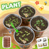 Set 4 5, 6, 7, 8-12 Paint & Plant Flower Growing Kit for Kids - Easter Gifts for Kids Gardening with Pots - Unique