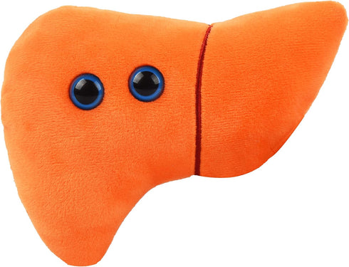 GIANTmicrobes Stuffed Liver Plush, Anatomical Liver Stuffed Animal, Hepatologist Gift
