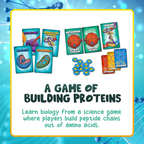 Genius Games Peptide: A Protein Building Game | A Strategy Card Game with Accurate Science for Gamers and Teachers |