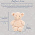 11-Inch MON AMI Polly The Pig Stuffed Farm Animal for Boys & Girls | Soft Pink Pig Plush Toy | Farmyard Playtime