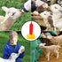 PAGOW 10PCS Nipple for Goats, Soft Rubber Pacifier for Nursing Small Animal Milk Drink, Lambs and Goat Kids
