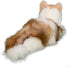 Kiki Ragdoll Cat Plush Toy - Soft & Cuddly