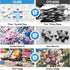 zhiseoyi 300 300 Summer 20.5 15 Piece Puzzles for Adults, Piece Puzzles for Adults Large Piece, Beach Dogs Trees Jigsaw