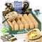 Uregoio 36-Pack Dinosaur Eggs Dig Kit, Surprise Dinosaur Eggs Excavation Kit with