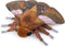 Frankiezhou Home Ginkgo Moth Plush Toy, Giant Ginkgo Moth Stuffed Animals 26in, Realistic Soft