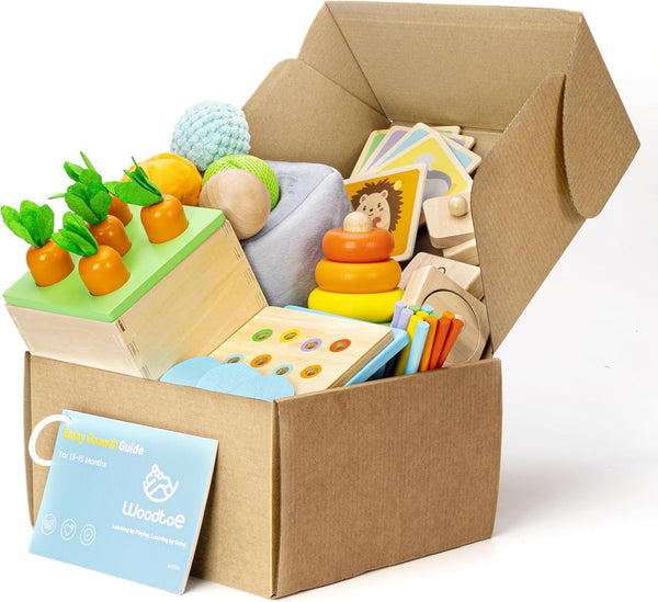 Montessori Toys Set for Babies 13-15 Months, 5 in 1 Educational Wooden Learning Toys with Sensory Ball & Object