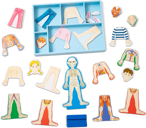 Melissa & Doug Magnetic Human Body Anatomy Play Set - 24 Magnetic Pieces with Storage Tray