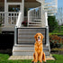 2 Pack Dog Gate, Mesh Baby Gate, 43.3'' X 28.3'' for Stairs & Doorways, No Drilling, 12 Hooks by Lofekea