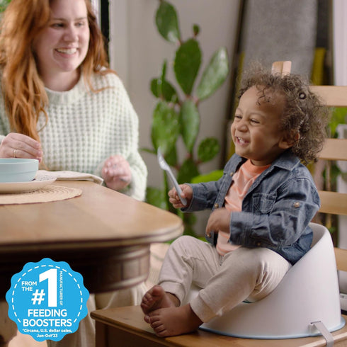3-Point Ingenuity: ity by Ingenuity Simplicity Seat Easy-Clean Baby Booster Feeding Chair, Harness, Washable Removable