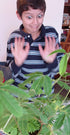 Zombie Plant Classroom Science Fun Planting Party Kit for 30 Students, Halloween Plant Care Book