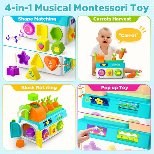 1,2 1-3 12-18 1-2 Learning Toys for Year Old Girl Boy Gifts, Montessori Shape Sorting Toys for Toddler Age, Musical