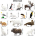 Toymany 14PCS Tiny Polar Animal Figurines, Plastic Arctic Animal Set for Kids Birthday Party Gifts
