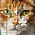 Cat Puzzles for Adults, 1000 Pieces, Funny Kitten Jigsaw Puzzles, Mosaic Meows Animal Puzzle