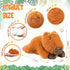 HyDren 12 Pcs Cute Capybara Plush Toys 5.7 Inch Stuffed Animal for Boys Girls Toddler Birthday Gifts
