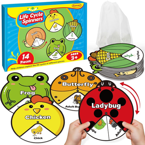 Life Cycle Toys for Kids, Animal Plant Insect Bug Kit, Montessori Learning Activities for Toddlers