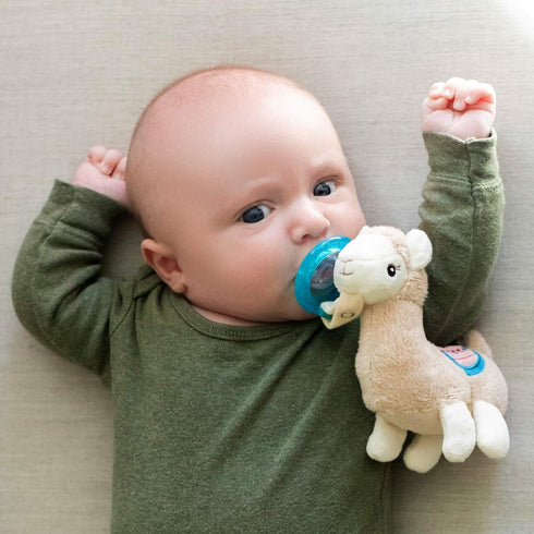 Nuby Soft Plush Pacifinder with Detachable Silicone Pacifier, 0-6 Months, Llama, Natural Cherry Shape, Multi