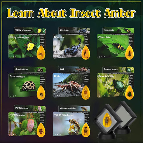 Bigger Amber Dig Kit - 8 Different Artificial Insect Resin, Excavate Unique Insect Specimens for Kids