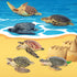 Toymany 6PCS Realistic Sea Turtle Figurines, Plastic Ocean Sea Animals Figures Set for Kids Birthday Gift