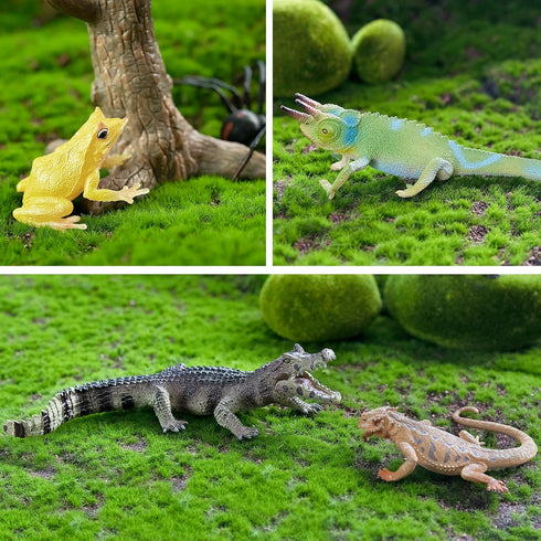 Toymany 12PCS Reptile Animal Figurine Toys Set: Cold Blooded Amphibians, Desert Animal Figures, Gift Party Favor