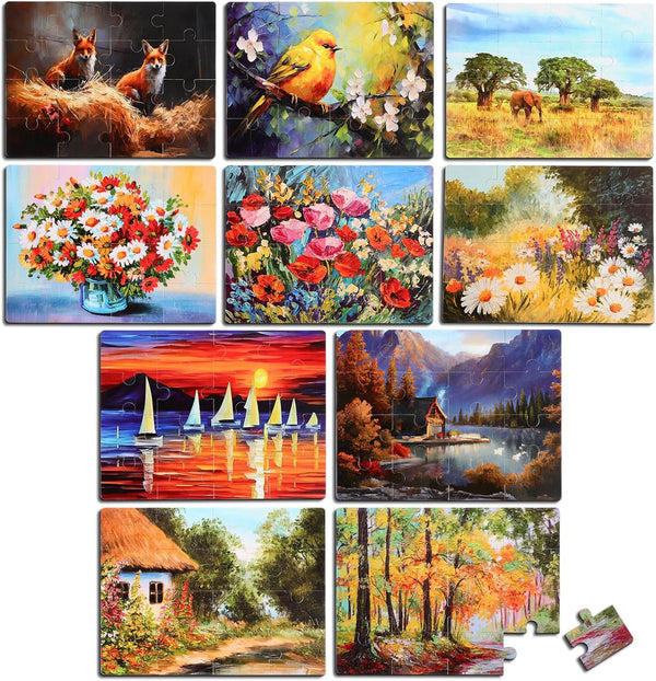 Hiboom 10 Pack 16 Piece Large Jigsaw Dementia Puzzles for Alzheimers Senior