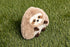 KIDS PREFERRED Sustain a-mals Lana The Sloth Stuffed Animal Plush, Made with Recycled Materials