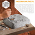 Discovery #MINDBLOWN Colossal Fossil Dig Set, 15-Piece Archeology Excavation Kit, Uncover Real Shark Teeth
