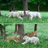 Toymany 12 Safari Animal Figurines Set, High Emulational Plastic Zoo Animals, Cake Toppers for Kids Toddlers